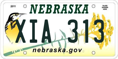 NE license plate XIA313