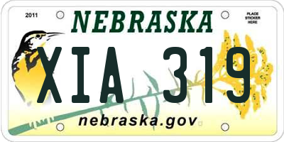 NE license plate XIA319