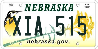 NE license plate XIA515