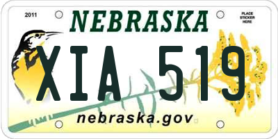 NE license plate XIA519