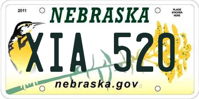 NE license plate XIA520