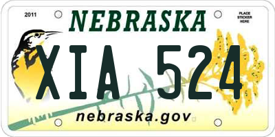NE license plate XIA524