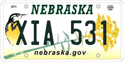 NE license plate XIA531