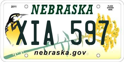 NE license plate XIA597