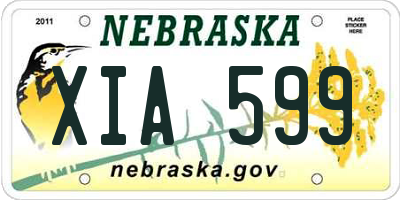 NE license plate XIA599