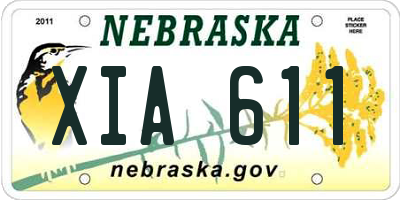 NE license plate XIA611