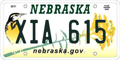 NE license plate XIA615