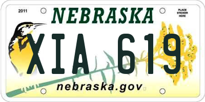 NE license plate XIA619
