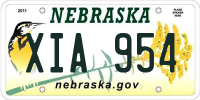 NE license plate XIA954