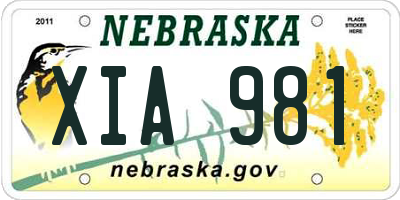 NE license plate XIA981