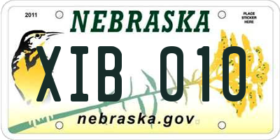 NE license plate XIB010