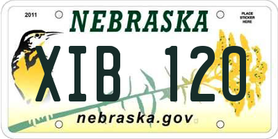 NE license plate XIB120