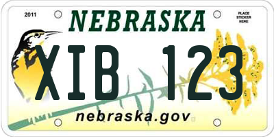 NE license plate XIB123