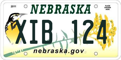 NE license plate XIB124