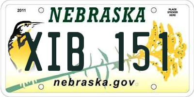NE license plate XIB151