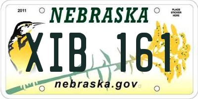 NE license plate XIB161