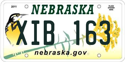 NE license plate XIB163