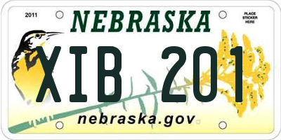 NE license plate XIB201