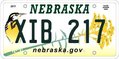 NE license plate XIB217