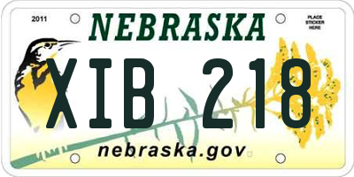 NE license plate XIB218