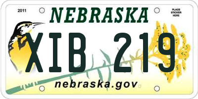 NE license plate XIB219