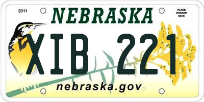 NE license plate XIB221
