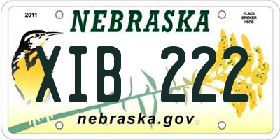 NE license plate XIB222