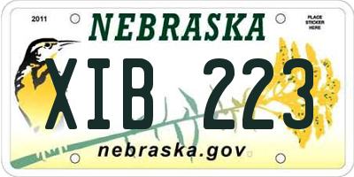 NE license plate XIB223