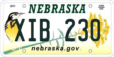 NE license plate XIB230