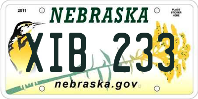 NE license plate XIB233