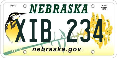 NE license plate XIB234