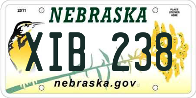 NE license plate XIB238