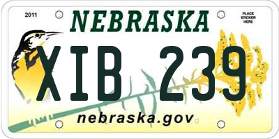 NE license plate XIB239