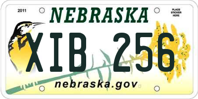 NE license plate XIB256