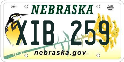 NE license plate XIB259