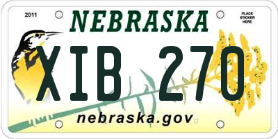 NE license plate XIB270