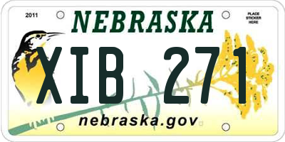 NE license plate XIB271