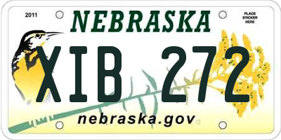 NE license plate XIB272