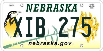 NE license plate XIB275