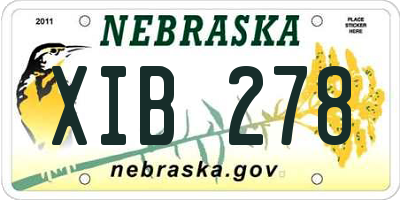 NE license plate XIB278