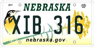 NE license plate XIB316