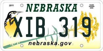 NE license plate XIB319