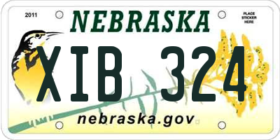 NE license plate XIB324