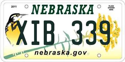 NE license plate XIB339