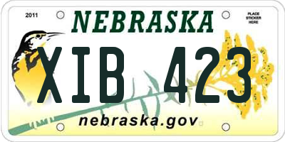 NE license plate XIB423