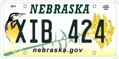NE license plate XIB424