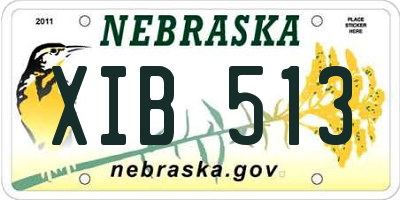 NE license plate XIB513