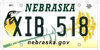 NE license plate XIB518