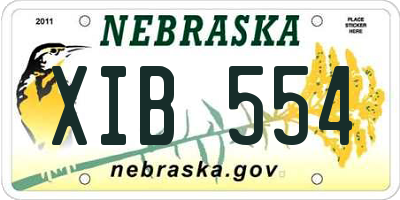 NE license plate XIB554