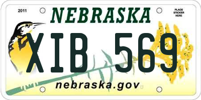 NE license plate XIB569